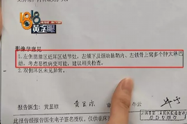 固始企业清欠服务